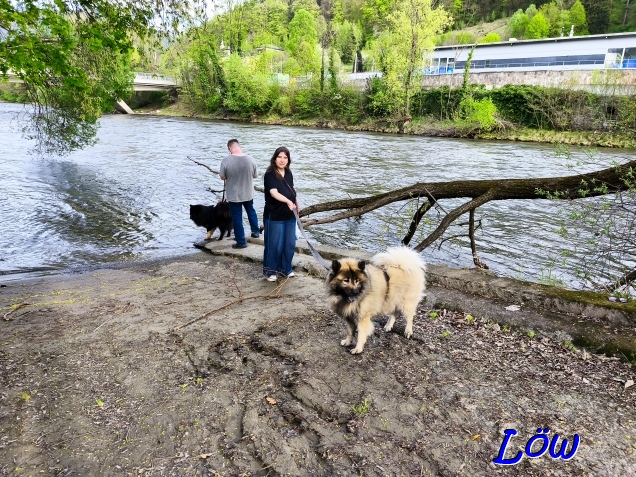 20.4.2025 - Kontrolle der Mur